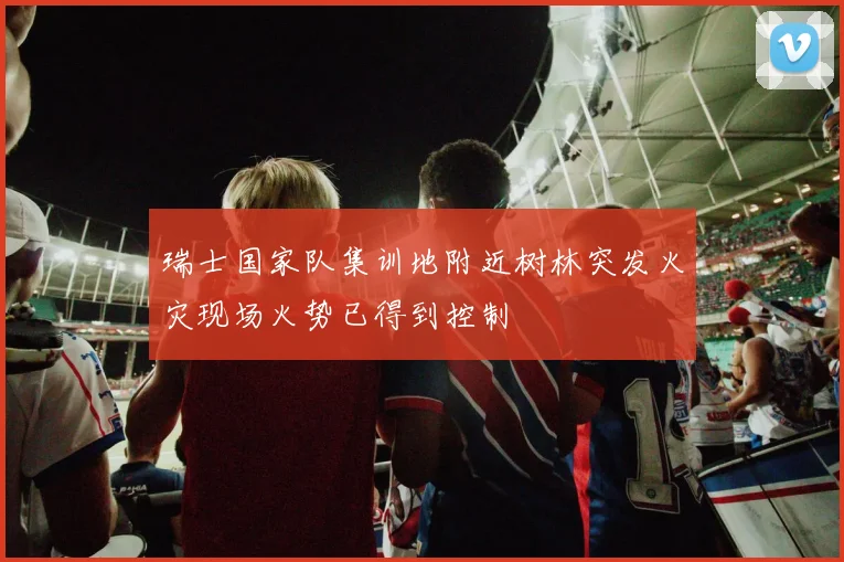 瑞士国家队集训地附近树林突发火灾现场火势已得到控制